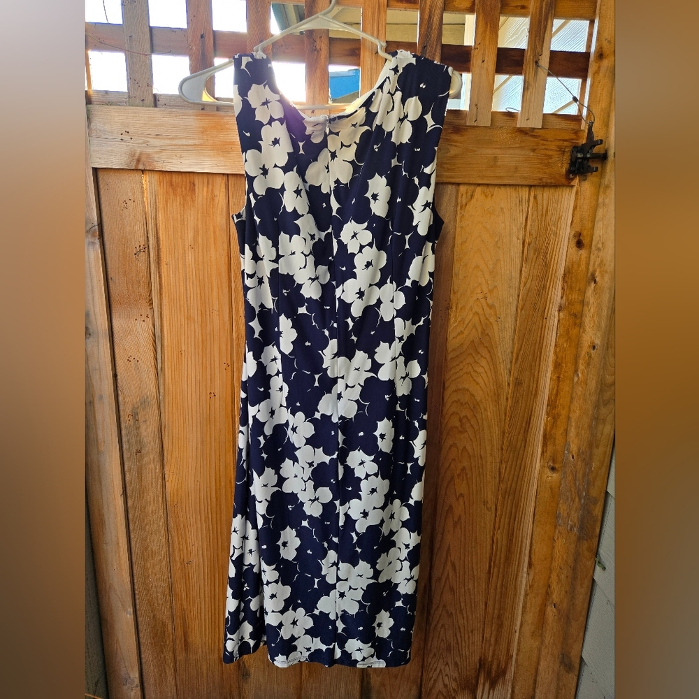 Phase Eight Dress